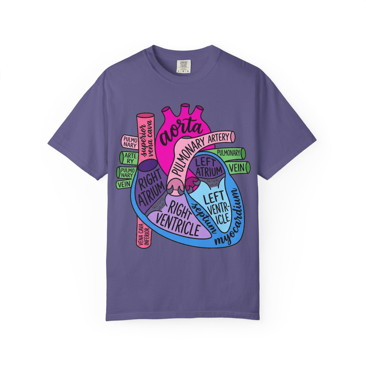 Anatomical Heart Diagram Shirt, Labelled Cardiac Anatomy Tee, Cardiology Nurse Shirt, Med Student Gift
