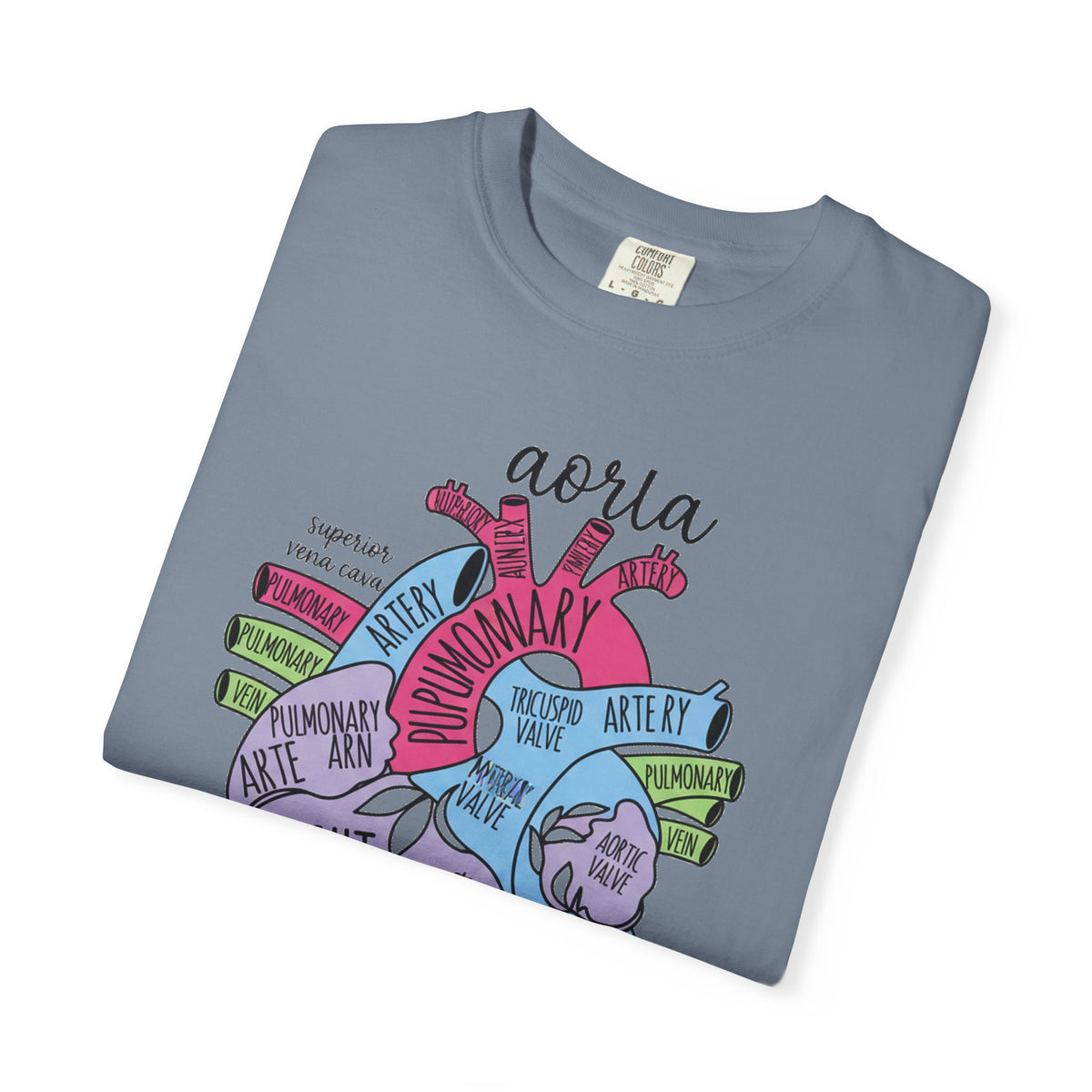 Labelled Heart Anatomy Shirt, Pastel Cardiac Diagram Tee, Nursing School Shirt, Cardiology Gift