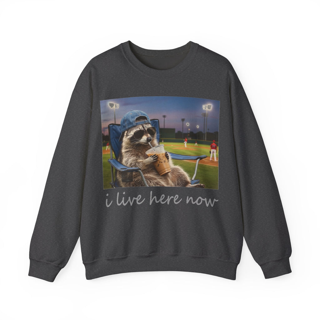 I Live Here Now Raccoon Baseball Sweatshirt, Funny Baseball Mom Sweatshirt, Raccoon Camp Chair Stadium Sweatshirt, Travel Ball Parent Gift,