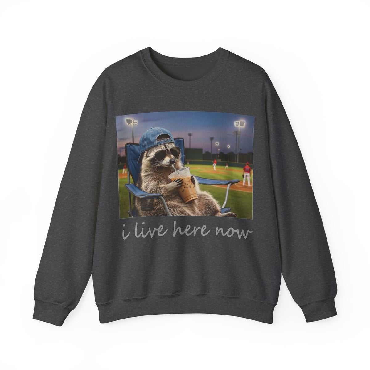 I Live Here Now Raccoon Baseball Sweatshirt, Funny Baseball Mom Sweatshirt, Raccoon Camp Chair Stadium Sweatshirt, Travel Ball Parent Gift,