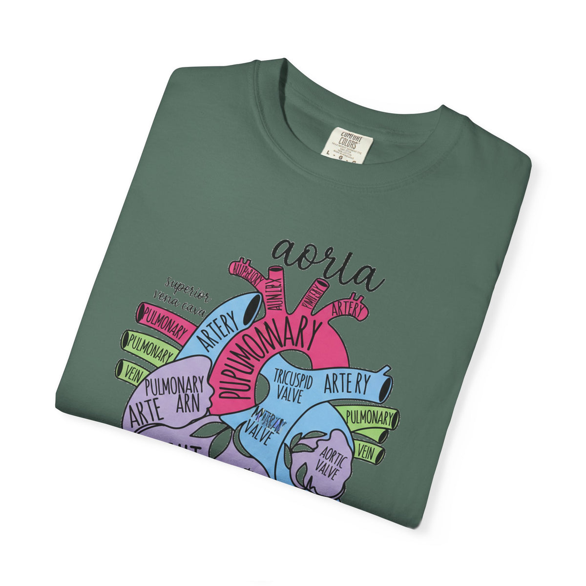Labelled Heart Anatomy Shirt, Pastel Cardiac Diagram Tee, Nursing School Shirt, Cardiology Gift
