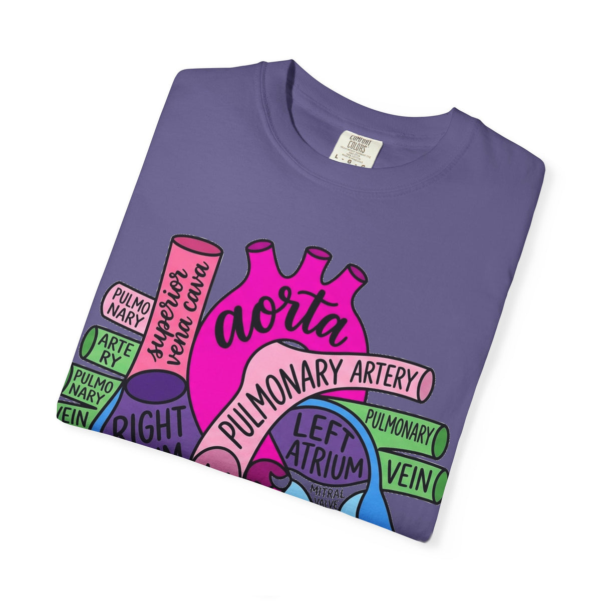 Anatomical Heart Diagram Shirt, Labelled Cardiac Anatomy Tee, Cardiology Nurse Shirt, Med Student Gift