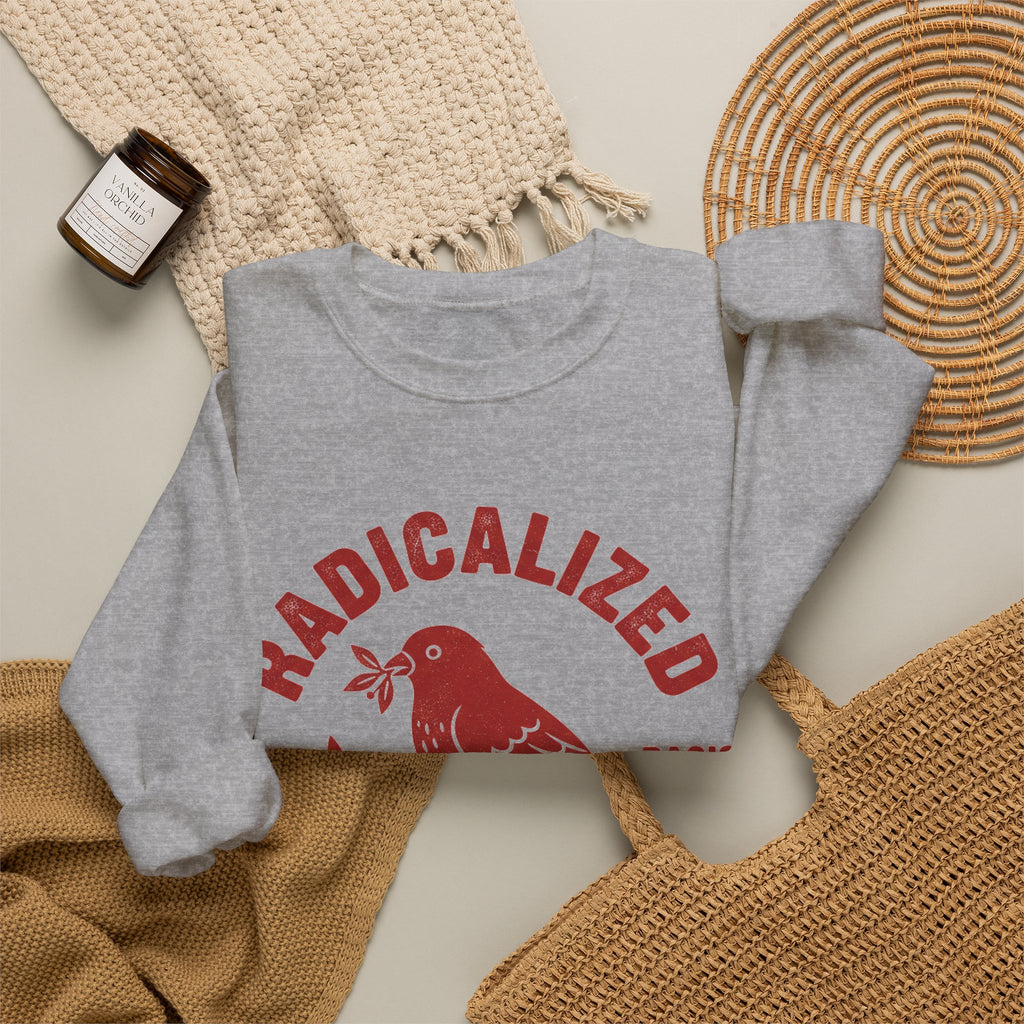 Radicalized By Basic Decency Sweatshirt, Vintage Bird Badge Political Sweatshirt, Progressive Kindness Sweatshirt, Liberal Gift, Retro Activ