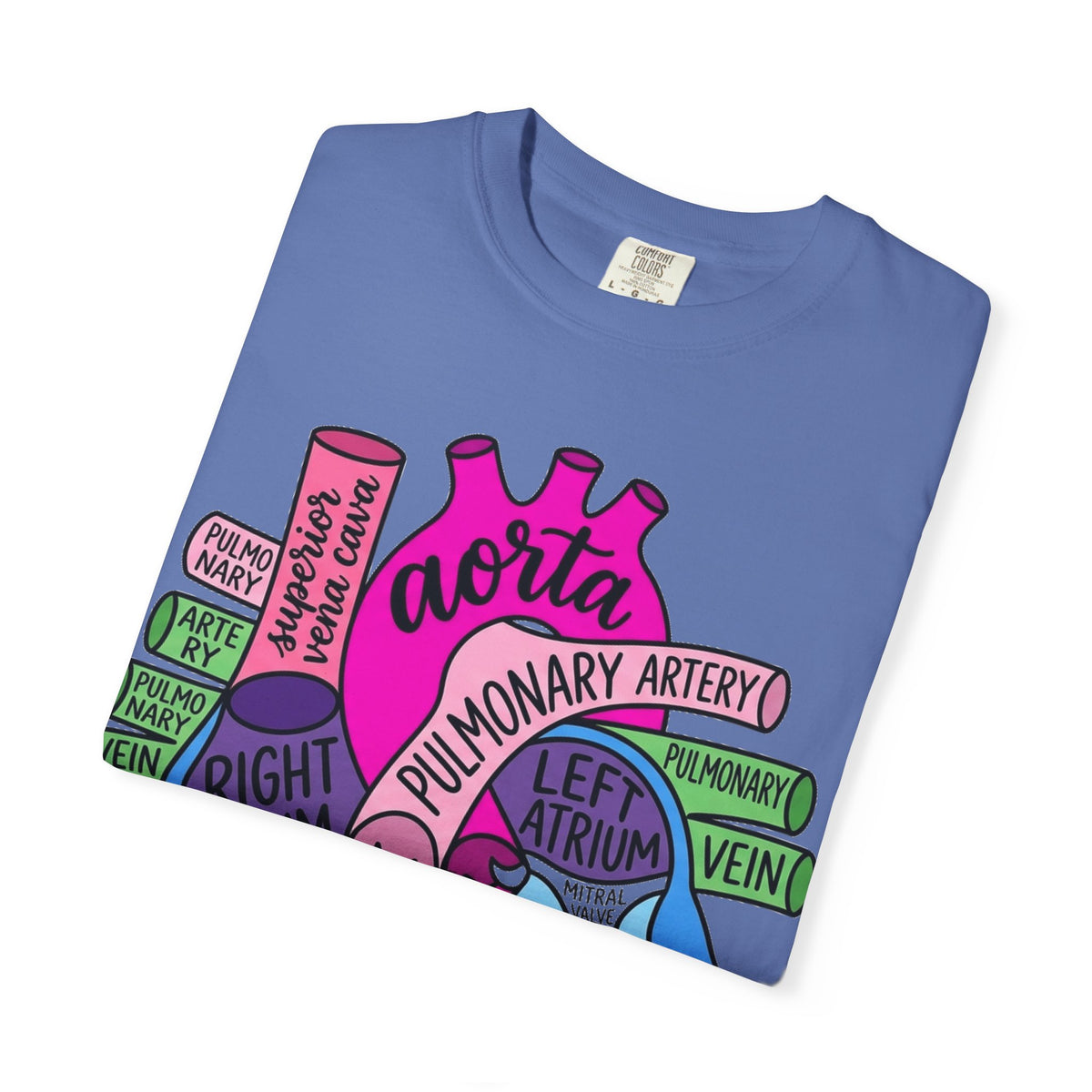 Anatomical Heart Diagram Shirt, Labelled Cardiac Anatomy Tee, Cardiology Nurse Shirt, Med Student Gift