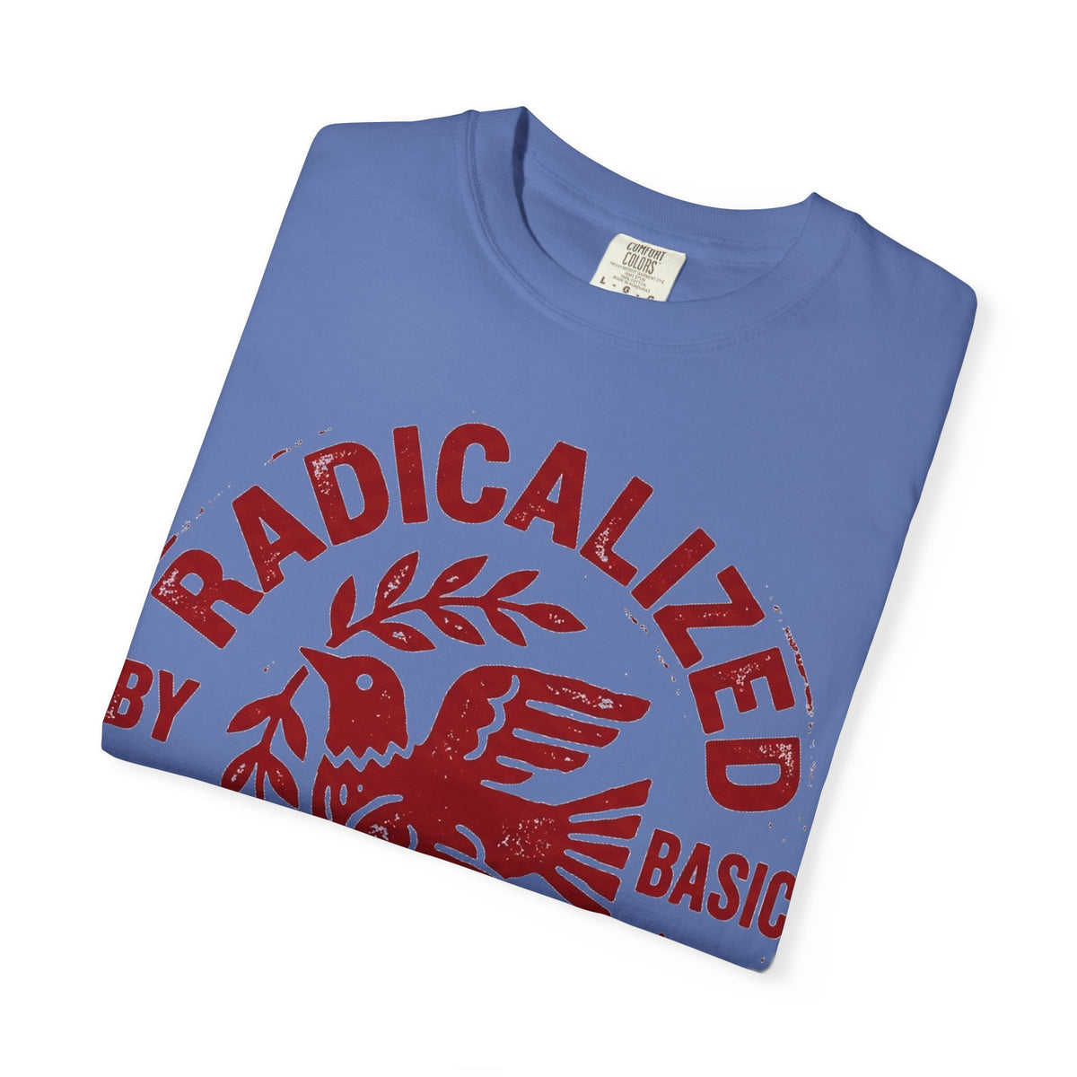 Radicalized By Basic Decency Shirt, Folk Art Dove Stamp Tee, Kindness Activist Shirt, Protest Gift