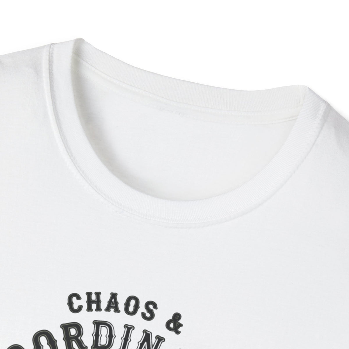 Chaos Coordinator T-Shirt — Funny Raccoon Graphic Tee