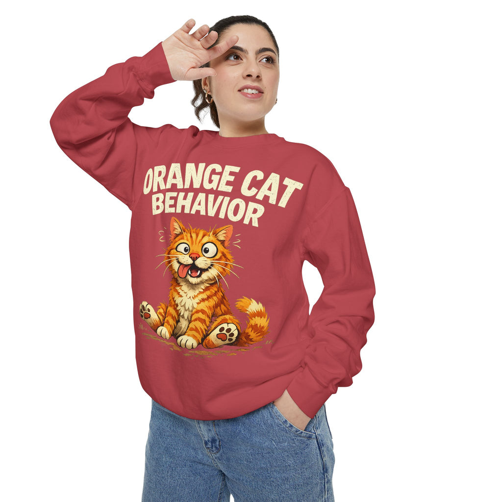 Orange Cat Behavior Sweatshirt — Cute Ginger Kitty Graphic Pullover