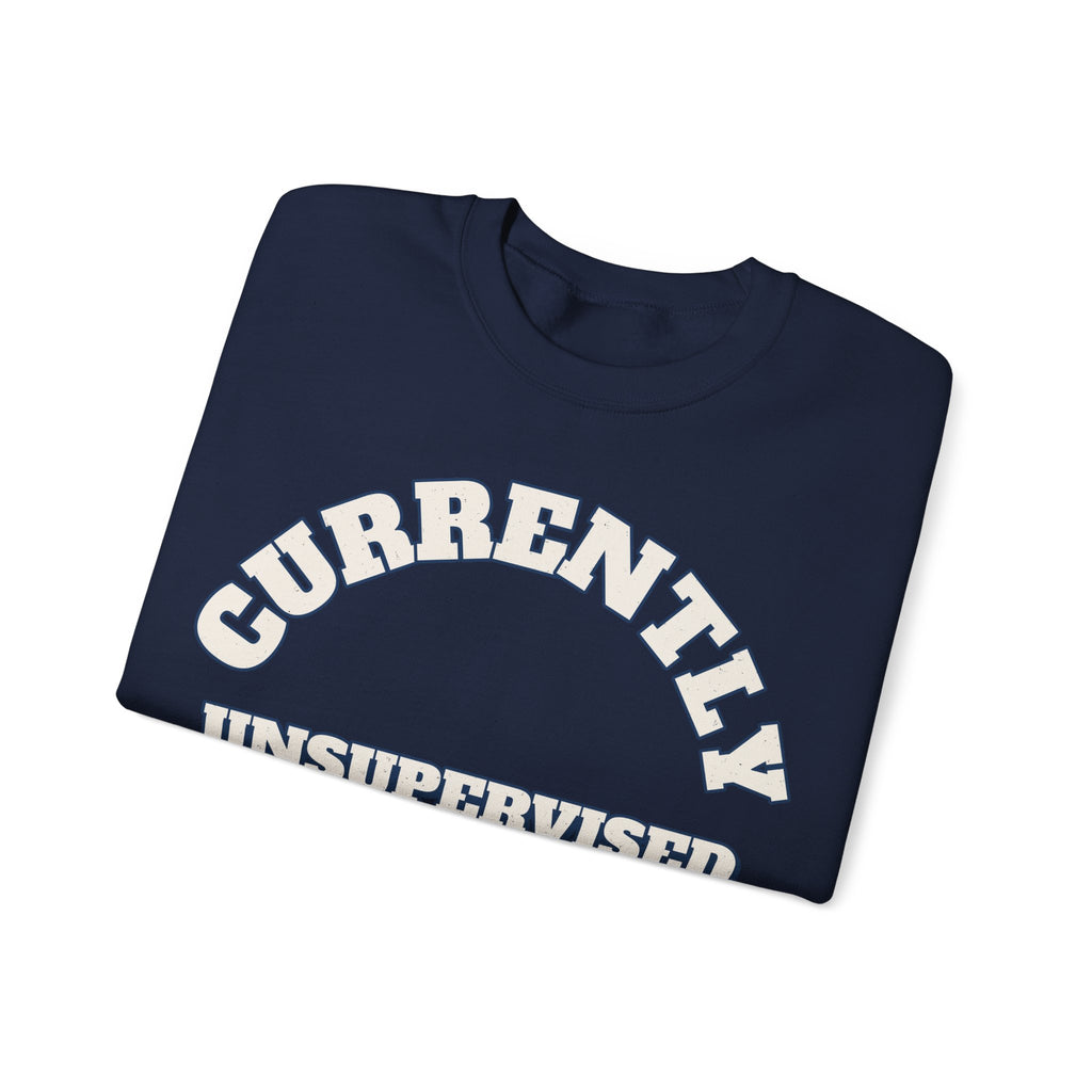 Funny Sayings Sweatshirts For Women Currently Unsupervised | Funny Sarcasm Sweatshirt | Sarcastic Quote Sweatshirt | Gift