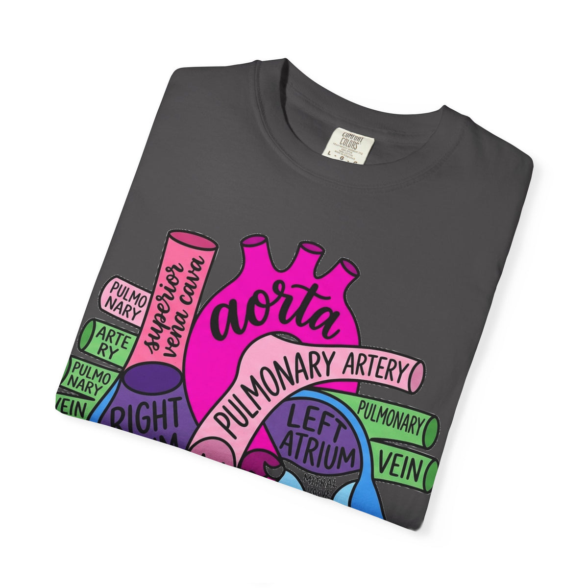 Anatomical Heart Diagram Shirt, Labelled Cardiac Anatomy Tee, Cardiology Nurse Shirt, Med Student Gift