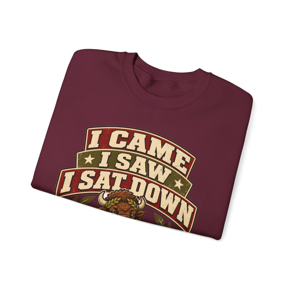 Funny Gym Sweatshirt I Came I Saw I Sat Down Bison Sweatshirt, Gym Gift For Men Women, Weightlifting Humor Sweatshirt