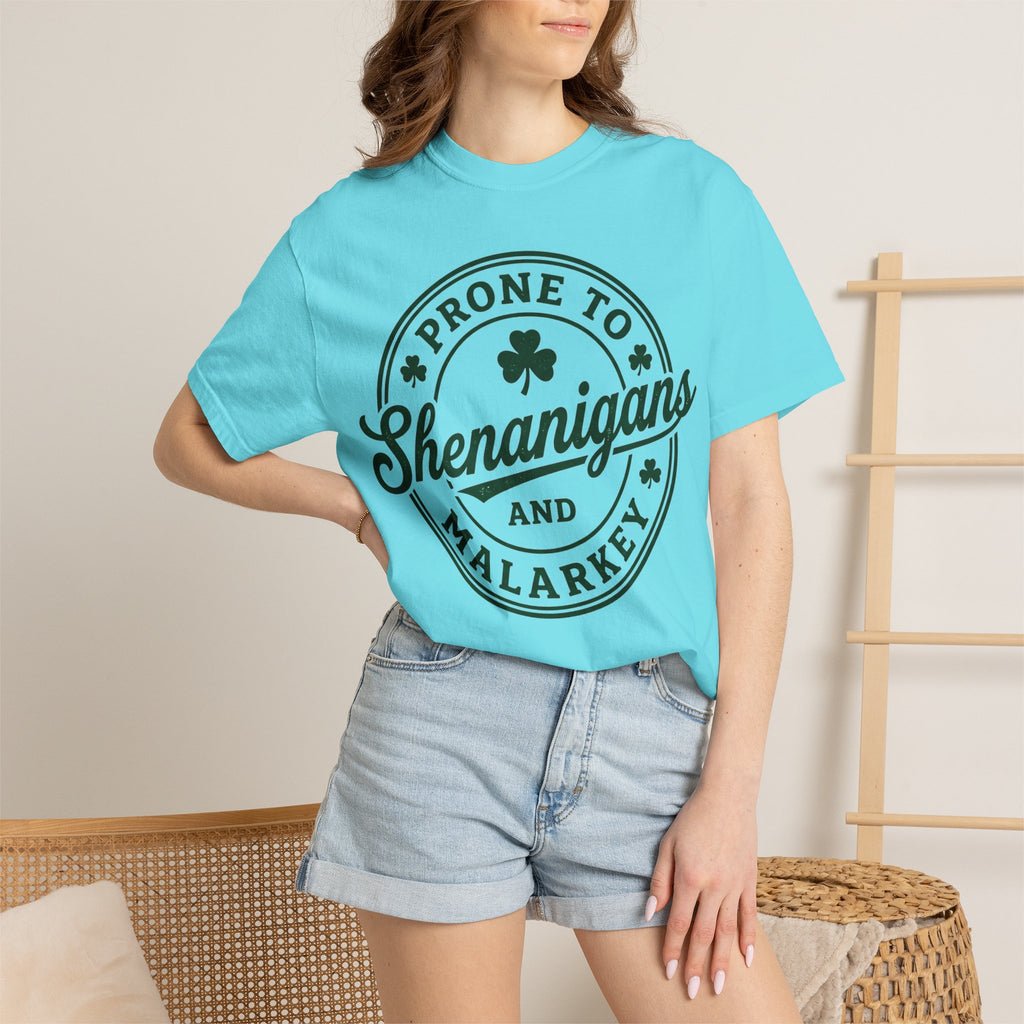 Prone To Shenanigans And Malarkey Shirt, St Patricks Day Badge Tee, Funny Irish Shirt, Paddys Day Gift