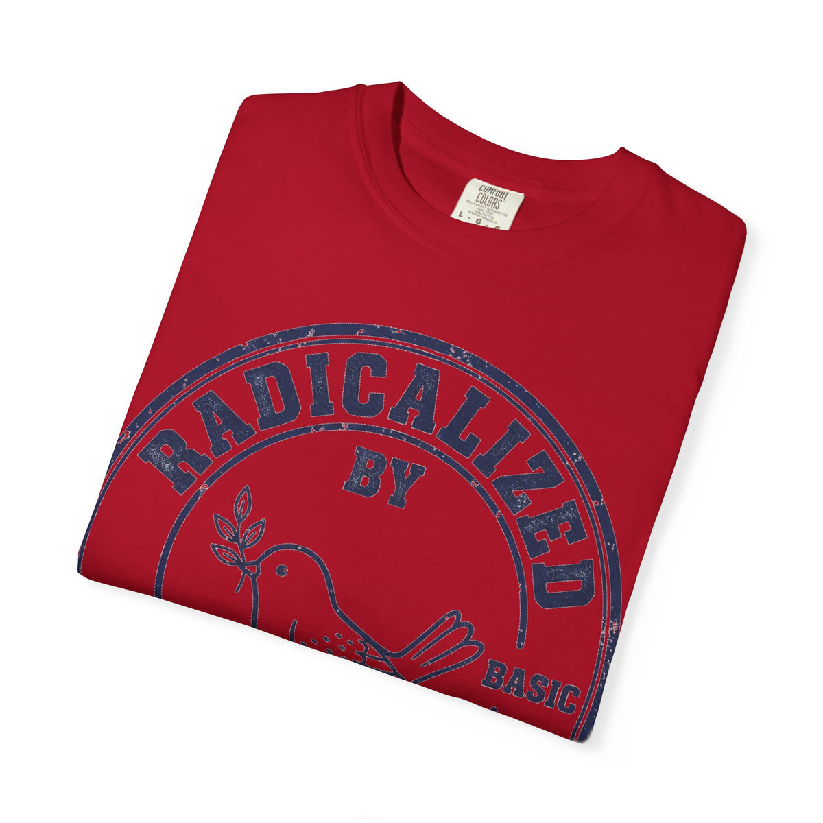 Radicalized By Basic Decency Navy Stamp Shirt, Line Art Dove Badge Tee, Kindness Protest Shirt, Activist Gift