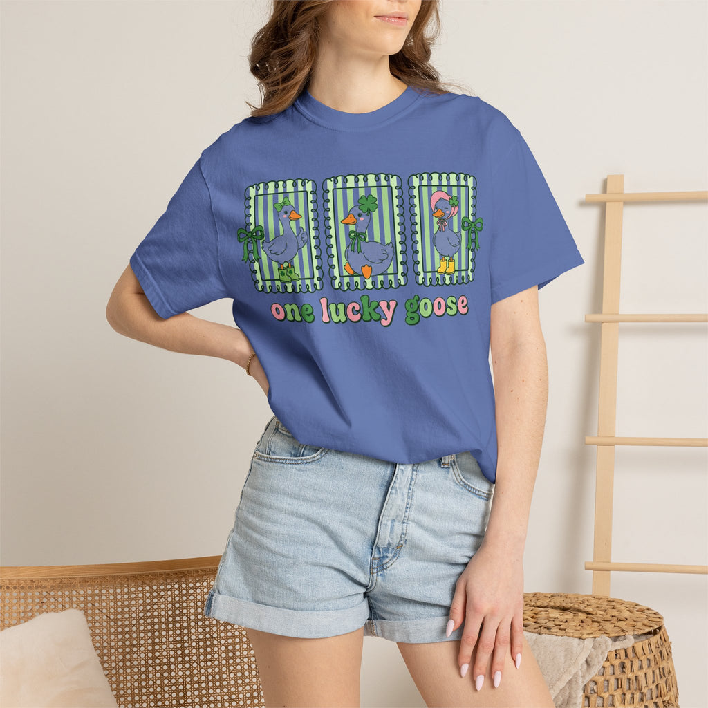 One Lucky Goose Framed Panels Shirt, Irish Goose Trio Tee, St Patricks Day Shirt, Funny Gift