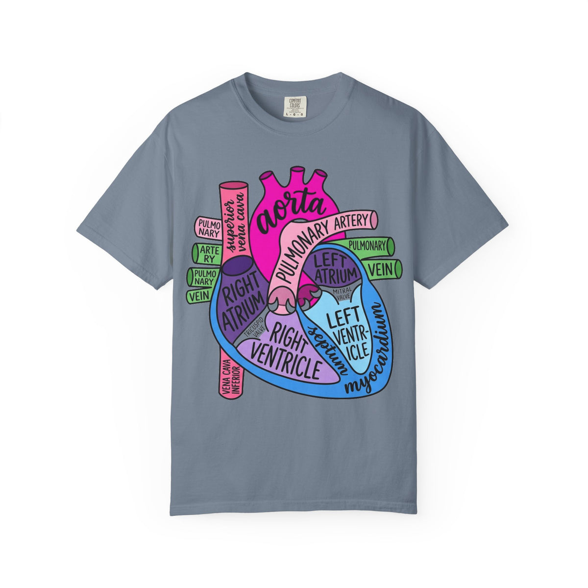 Anatomical Heart Diagram Shirt, Labelled Cardiac Anatomy Tee, Cardiology Nurse Shirt, Med Student Gift