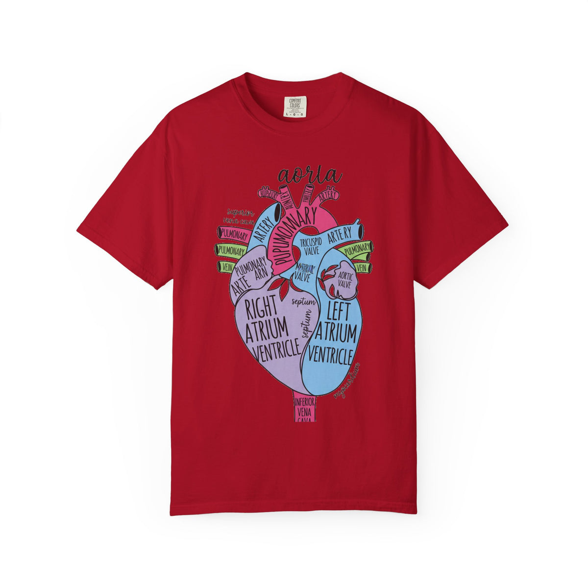 Labelled Heart Anatomy Shirt, Pastel Cardiac Diagram Tee, Nursing School Shirt, Cardiology Gift