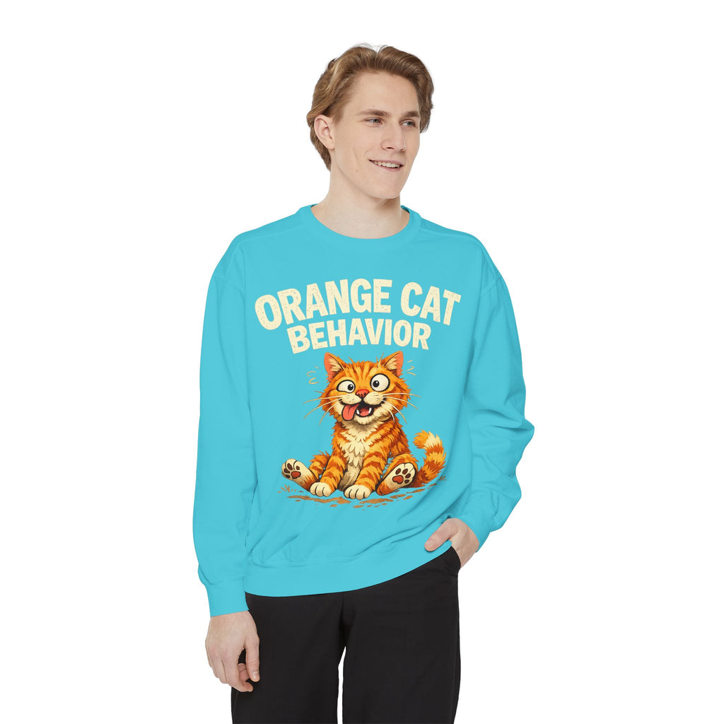 Orange Cat Behavior Sweatshirt — Cute Ginger Kitty Graphic Pullover