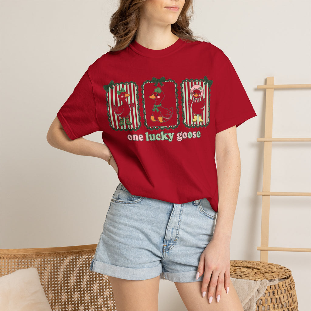 One Lucky Goose Tall Shirt, Three Panel Irish Goose Tee, Cute St Patricks Day Shirt, Shamrock Gift