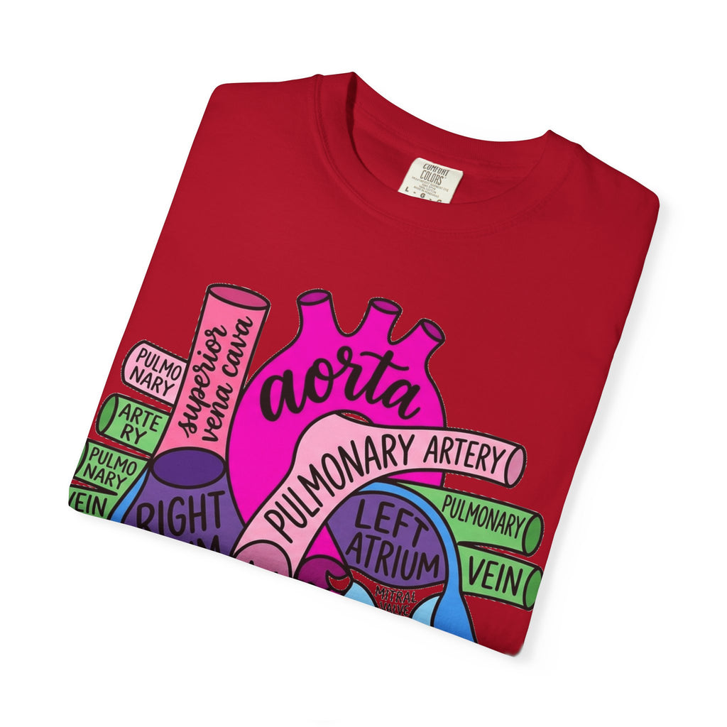 Anatomical Heart Diagram Shirt, Labelled Cardiac Anatomy Tee, Cardiology Nurse Shirt, Med Student Gift