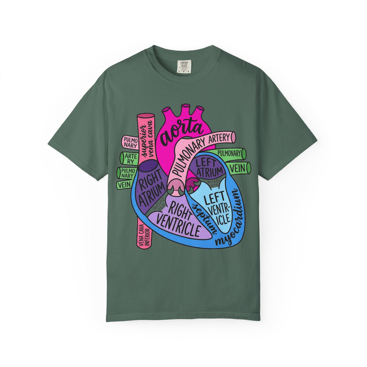 Anatomical Heart Diagram Shirt, Labelled Cardiac Anatomy Tee, Cardiology Nurse Shirt, Med Student Gift