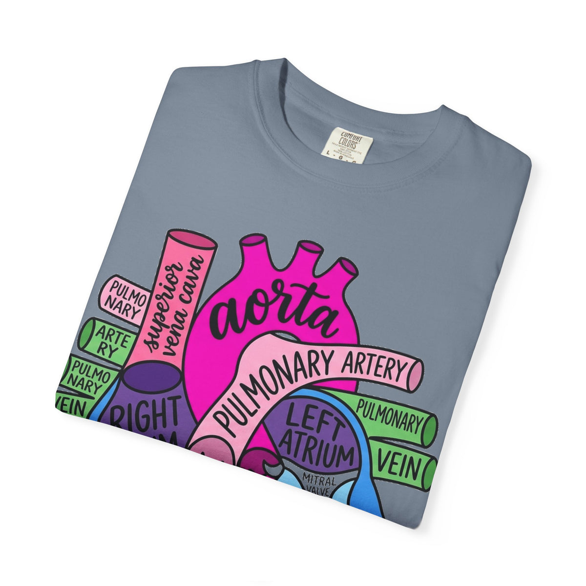 Anatomical Heart Diagram Shirt, Labelled Cardiac Anatomy Tee, Cardiology Nurse Shirt, Med Student Gift