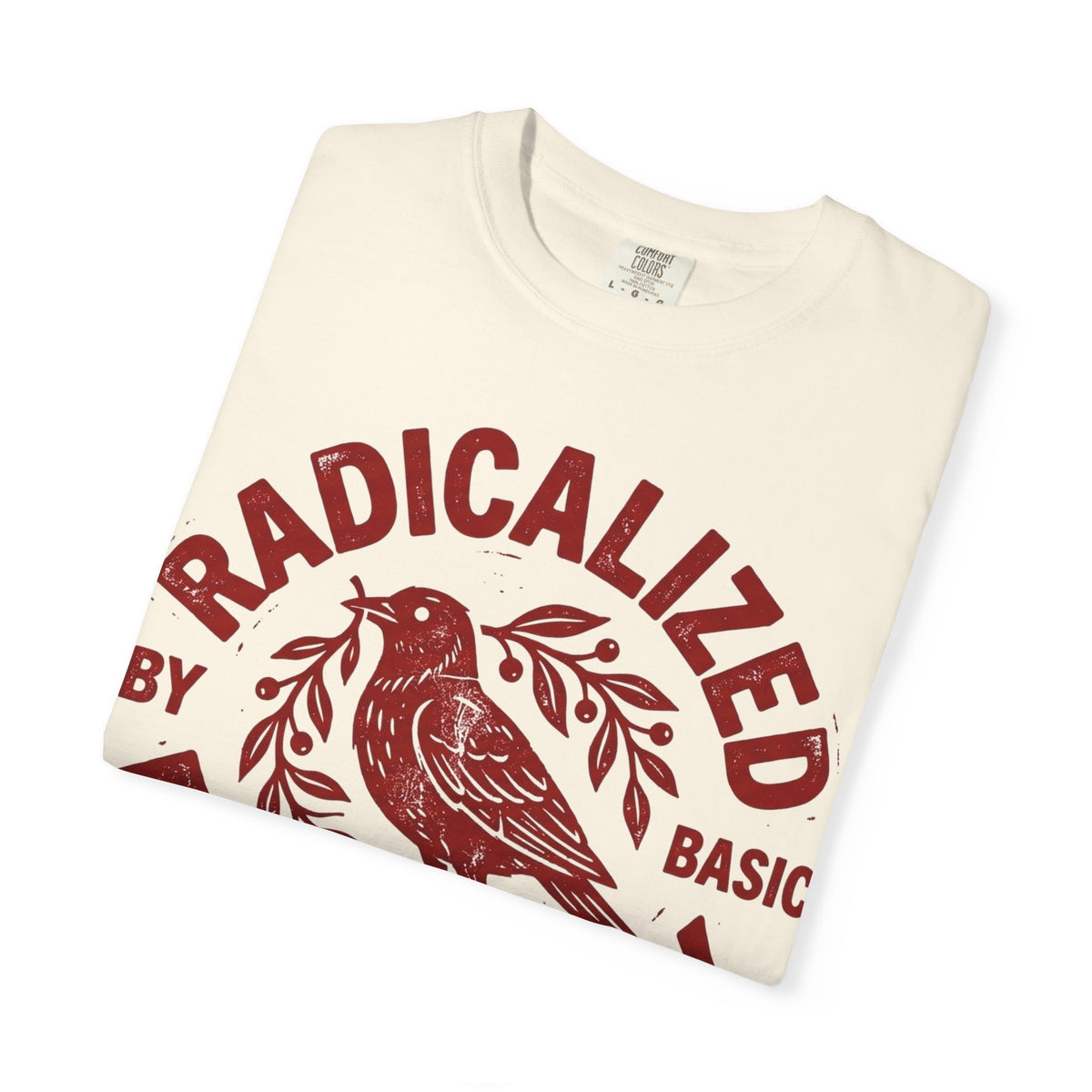 Radicalized By Basic Decency Red Bird Shirt, Folk Stamp Activist Tee, Kindness Protest Shirt, Ally Gift