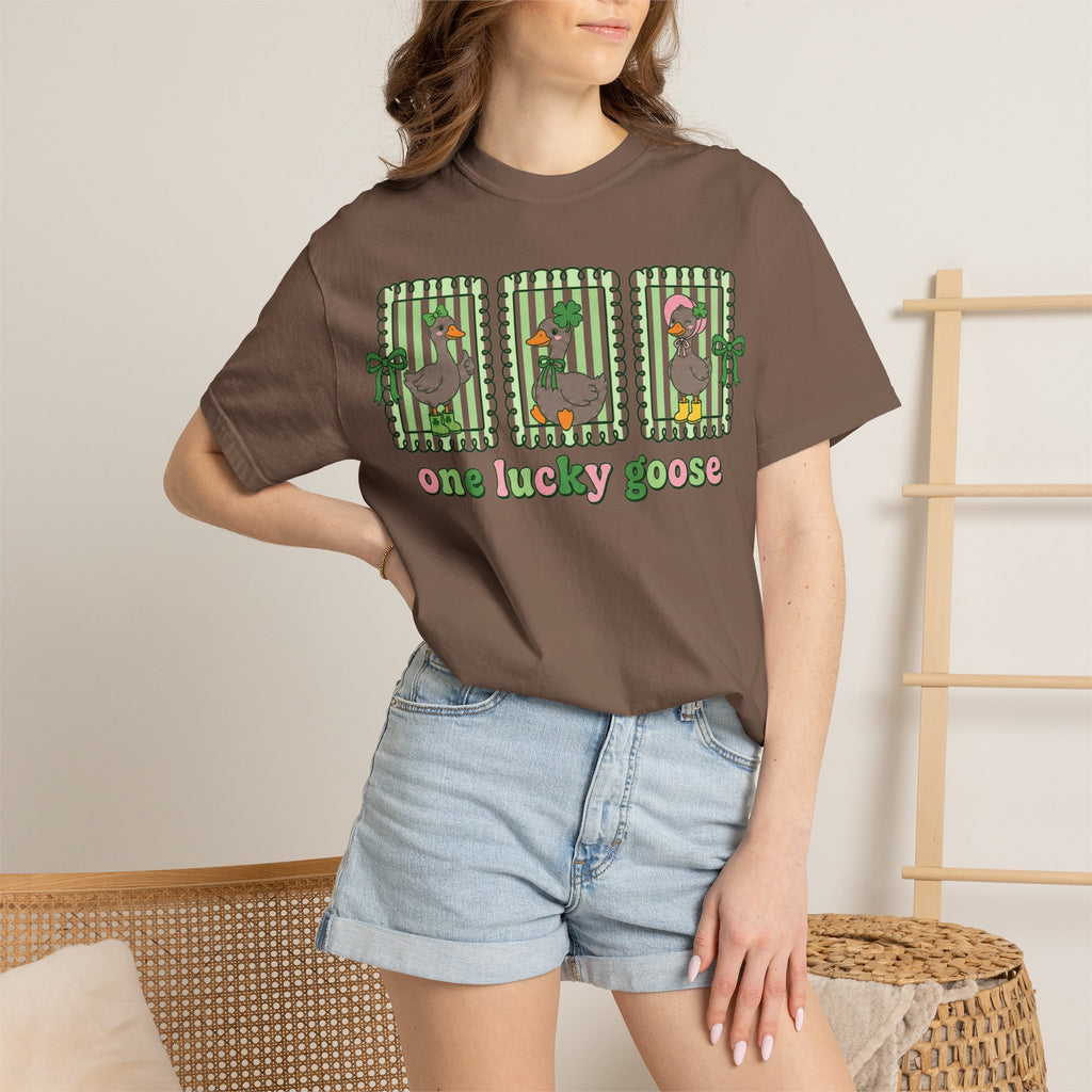 One Lucky Goose Framed Panels Shirt, Irish Goose Trio Tee, St Patricks Day Shirt, Funny Gift