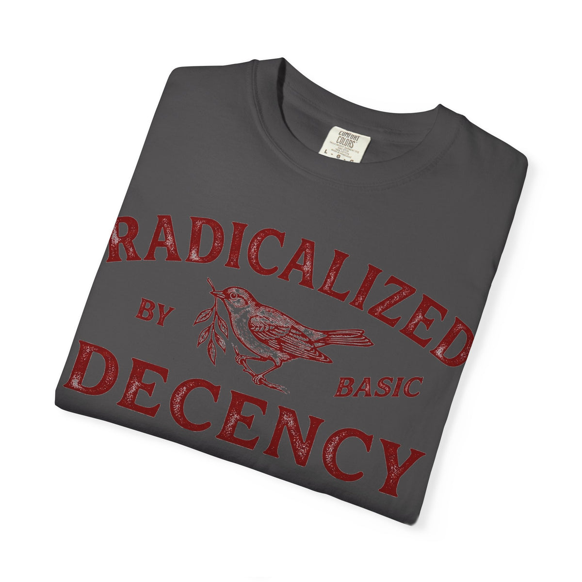 Radicalized By Basic Decency Bold Shirt, Engraved Bird Typography Tee, Kindness Statement Shirt, Protest Gift