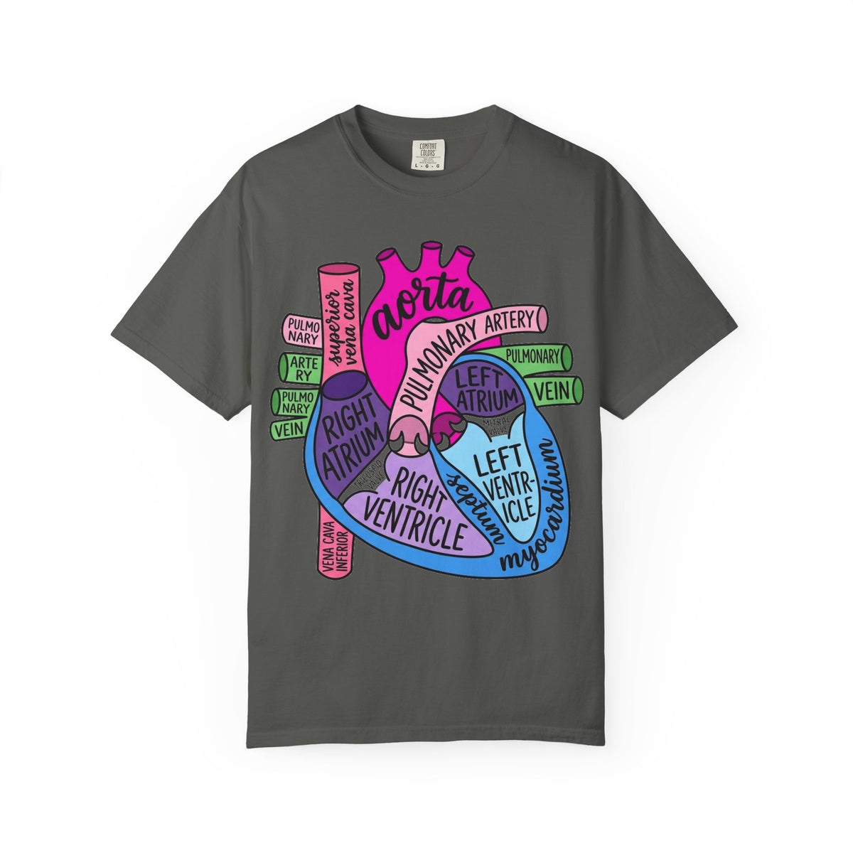 Anatomical Heart Diagram Shirt, Labelled Cardiac Anatomy Tee, Cardiology Nurse Shirt, Med Student Gift