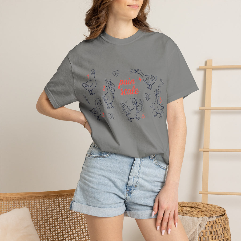 Goose Pain Scale Shirt, Funny Nurse Pain Chart Tee, 1 to 10 Goose Shirt, RN Gift