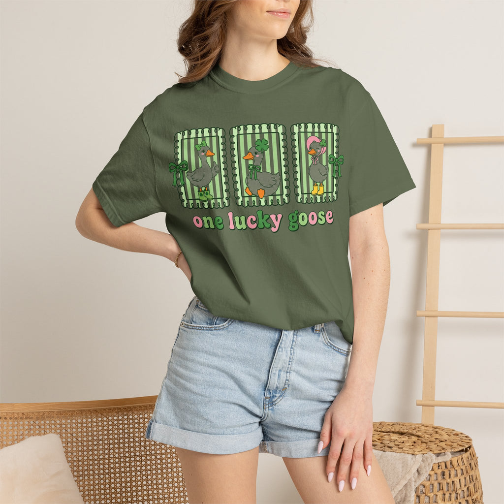 One Lucky Goose Framed Panels Shirt, Irish Goose Trio Tee, St Patricks Day Shirt, Funny Gift