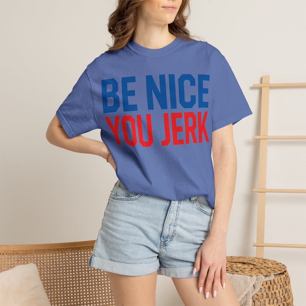 Be Nice You Jerk Shirt, Funny Sarcastic Quote Tee, Bold Retro Typography Shirt, Snarky Gift