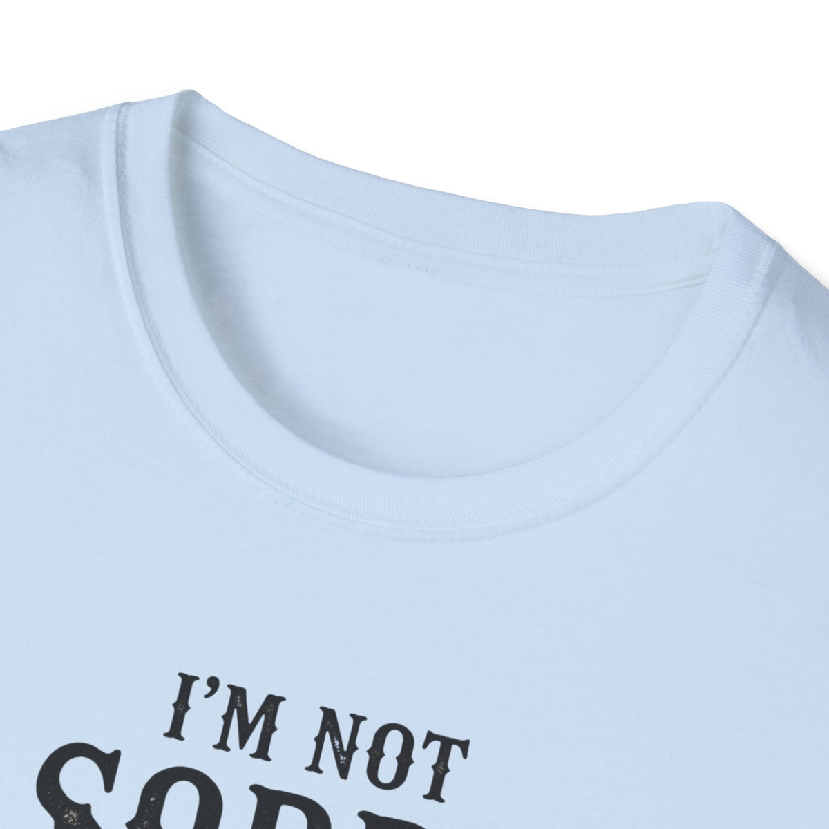 I’m Not Sorry Goose T-Shirt — Funny Unapologetic Bird Graphic Tee