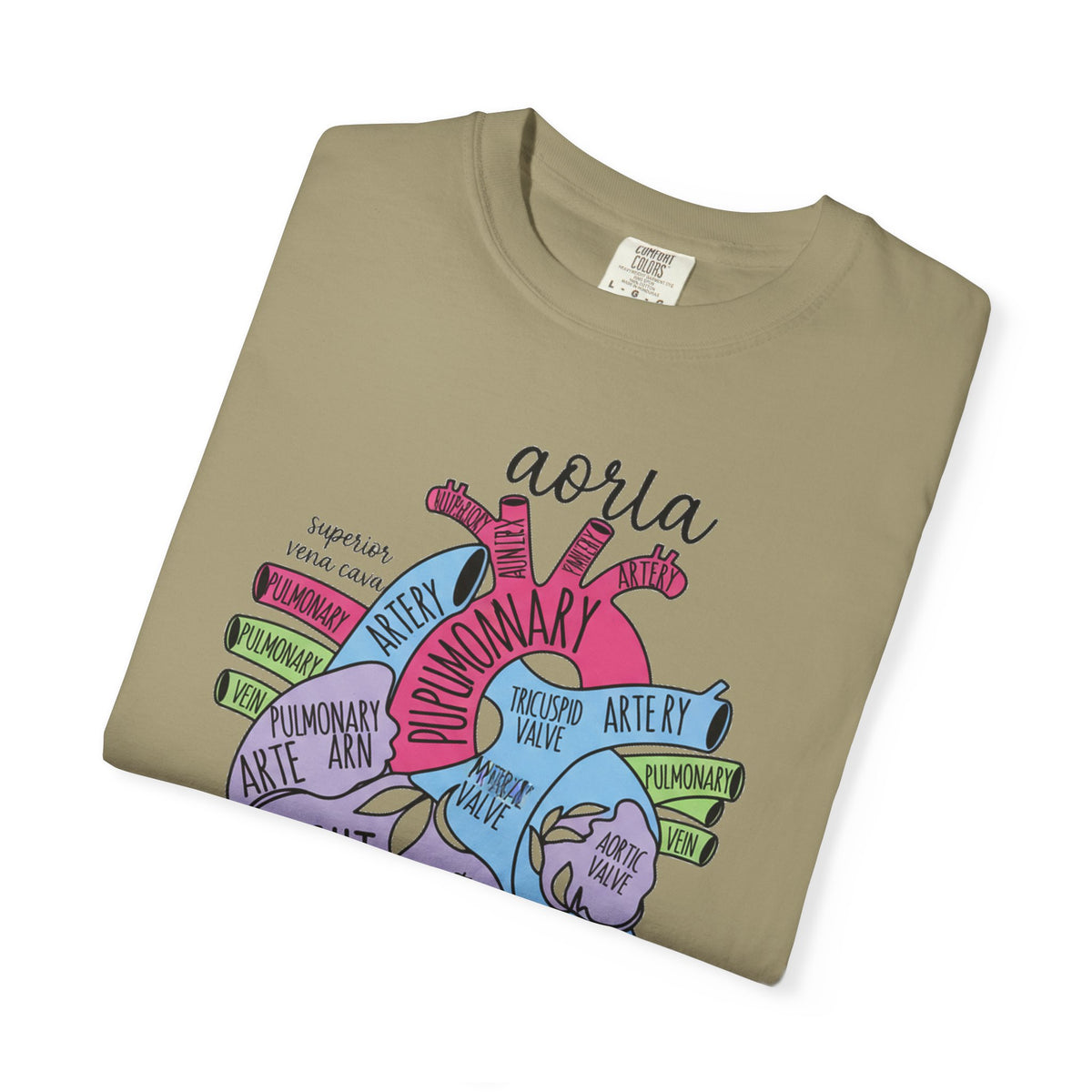 Labelled Heart Anatomy Shirt, Pastel Cardiac Diagram Tee, Nursing School Shirt, Cardiology Gift