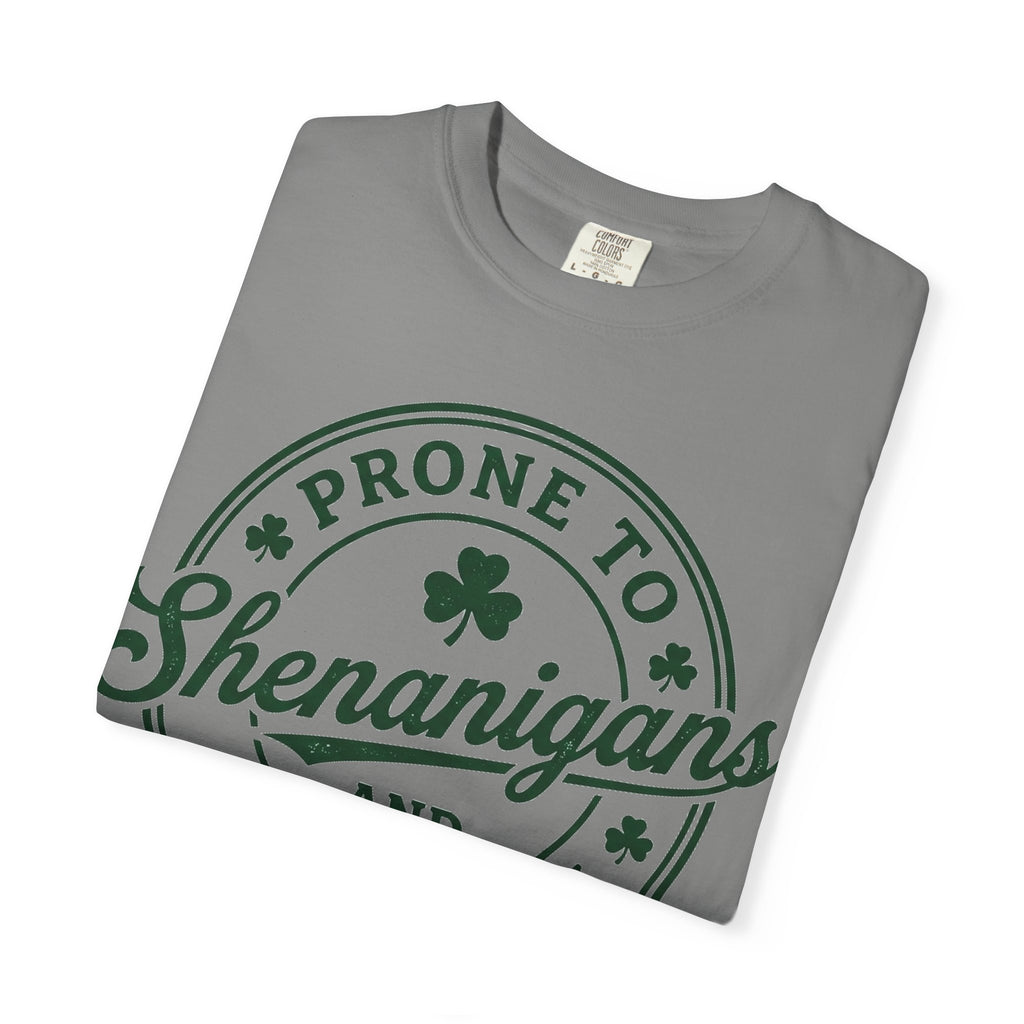 Prone To Shenanigans And Malarkey Shirt, St Patricks Day Badge Tee, Funny Irish Shirt, Paddys Day Gift