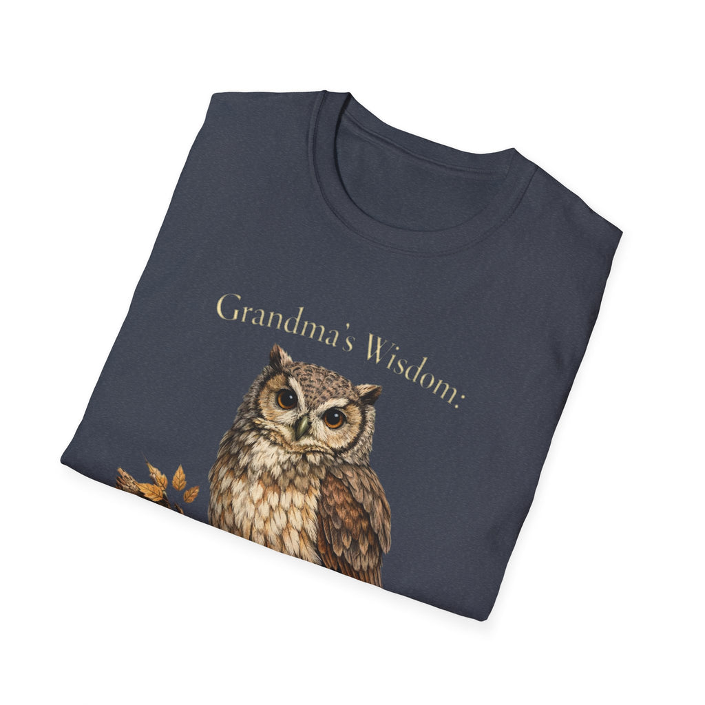 Grandma's Wisdom Priceless Shirt, Wise Owl Grandmother Tee, Nana Gift