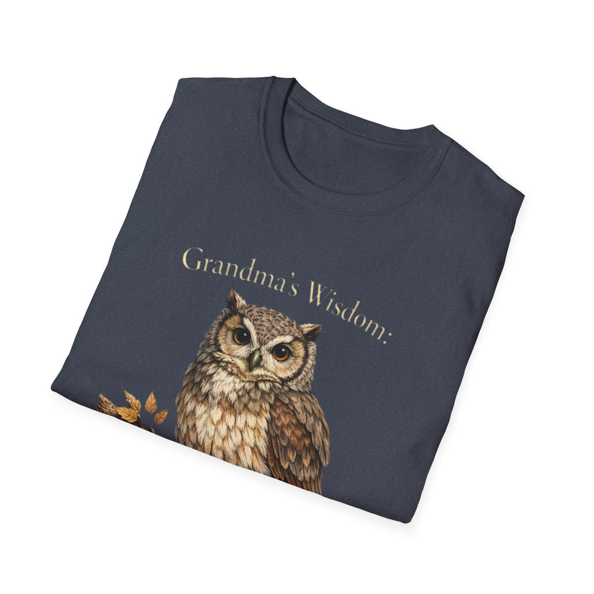 Grandma's Wisdom Priceless Shirt, Wise Owl Grandmother Tee, Nana Gift