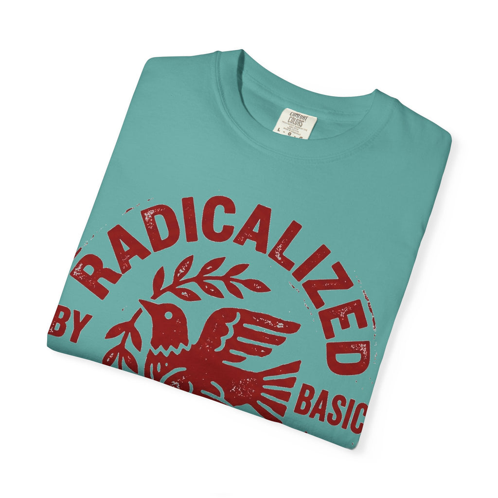 Radicalized By Basic Decency Shirt, Folk Art Dove Stamp Tee, Kindness Activist Shirt, Protest Gift