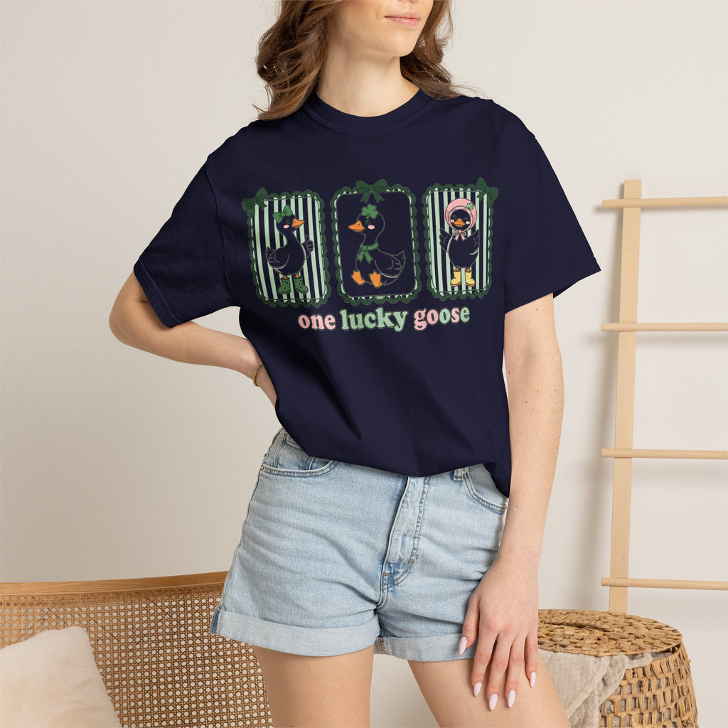 One Lucky Goose Tall Shirt, Three Panel Irish Goose Tee, Cute St Patricks Day Shirt, Shamrock Gift