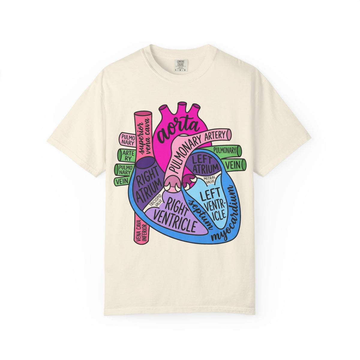 Anatomical Heart Diagram Shirt, Labelled Cardiac Anatomy Tee, Cardiology Nurse Shirt, Med Student Gift