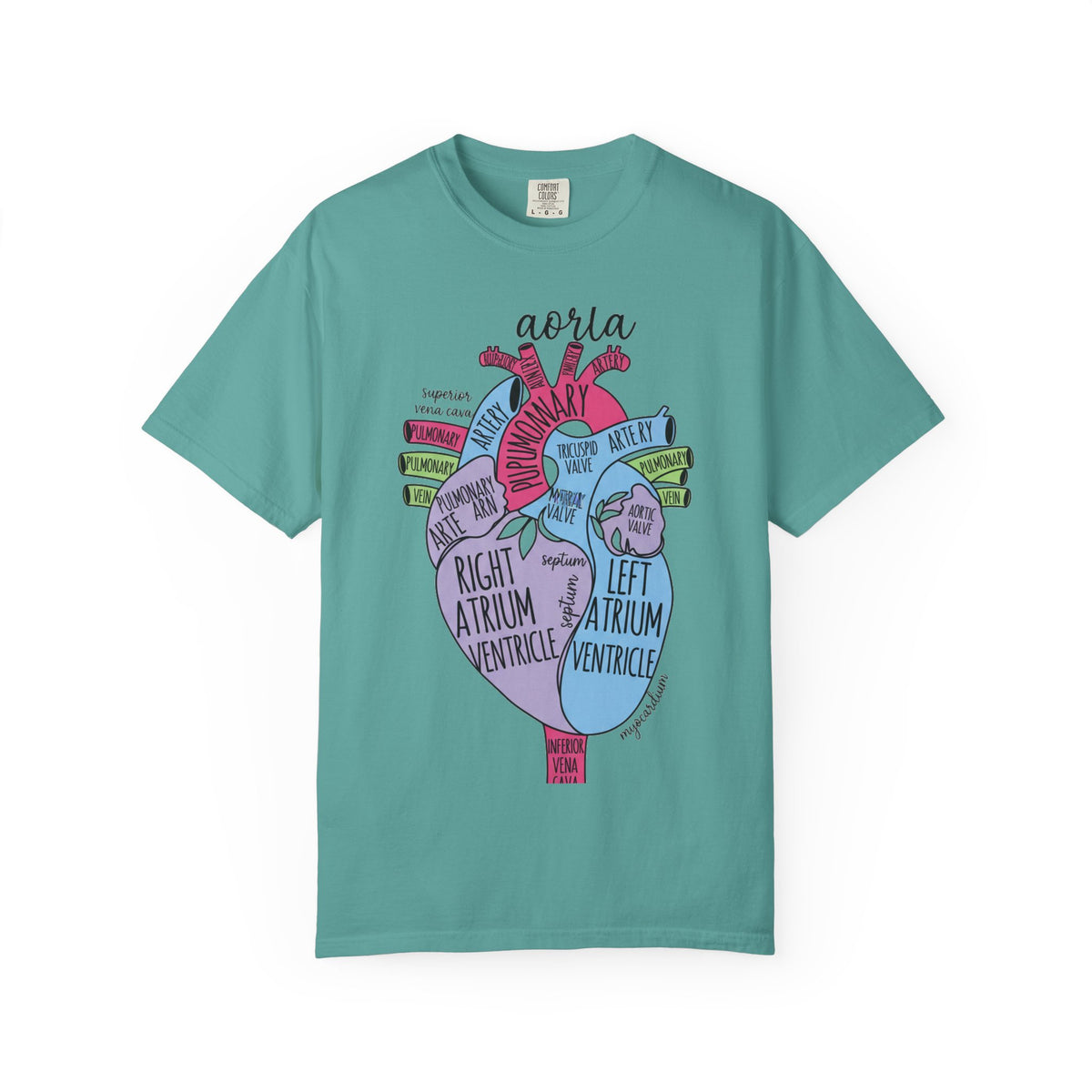 Labelled Heart Anatomy Shirt, Pastel Cardiac Diagram Tee, Nursing School Shirt, Cardiology Gift