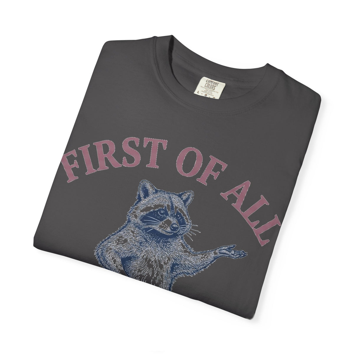 First Of All I'm A Delight Shirt, Funny Raccoon Tee, Sassy Vintage Engraving Shirt, Sarcastic Gift