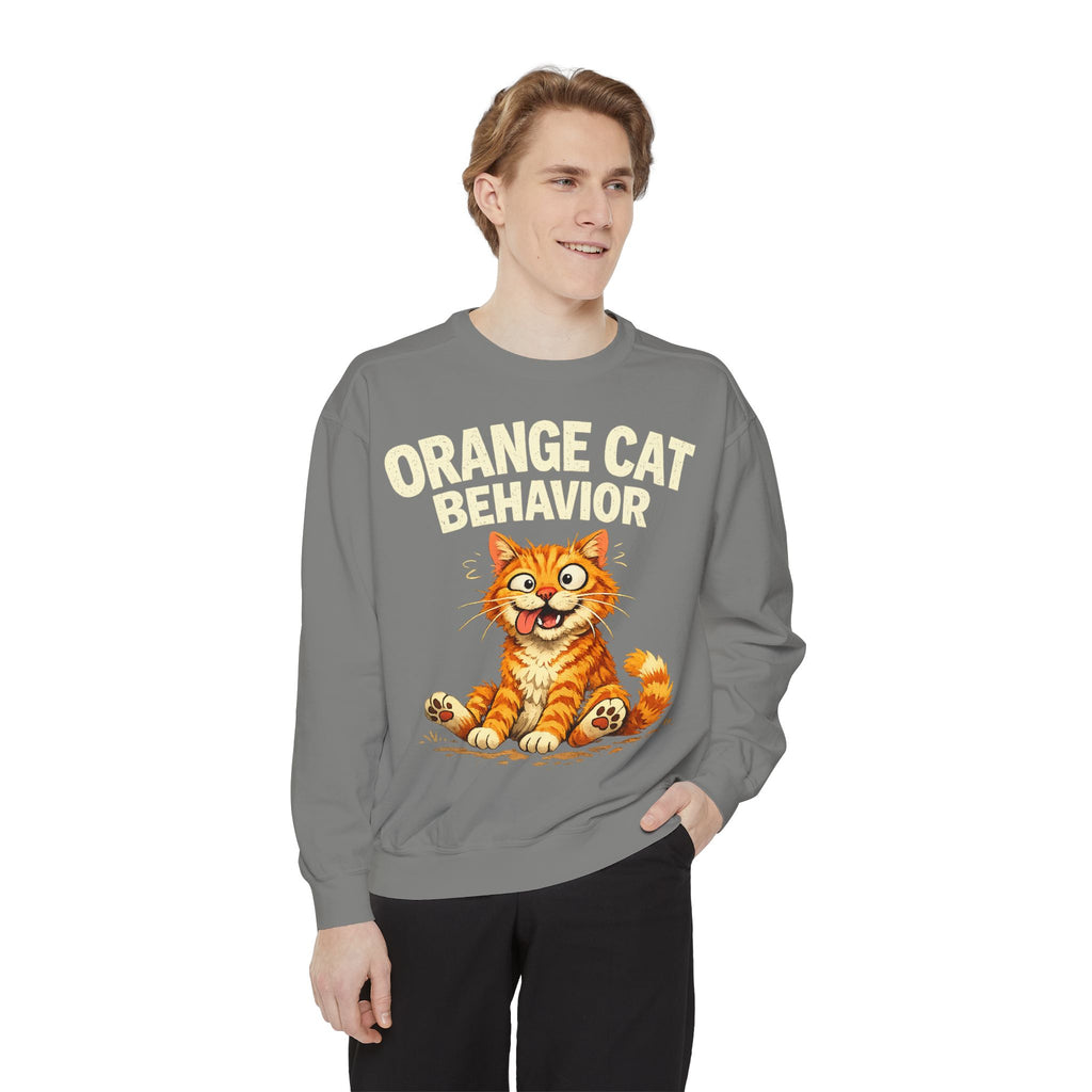 Orange Cat Behavior Sweatshirt — Cute Ginger Kitty Graphic Pullover