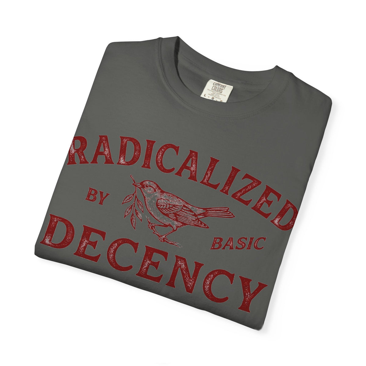 Radicalized By Basic Decency Bold Shirt, Engraved Bird Typography Tee, Kindness Statement Shirt, Protest Gift