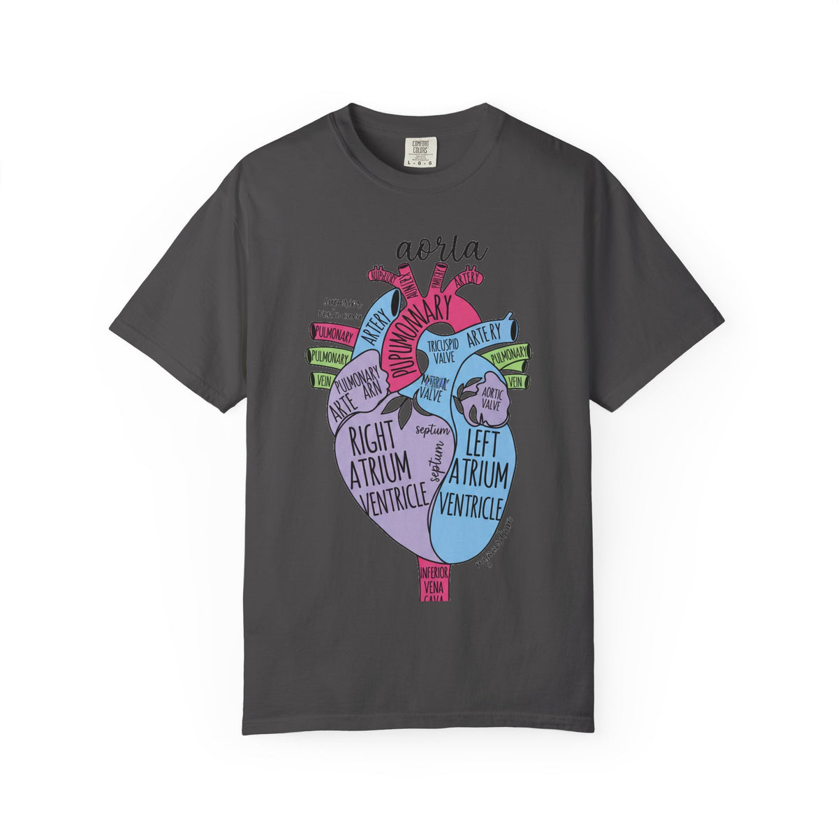 Labelled Heart Anatomy Shirt, Pastel Cardiac Diagram Tee, Nursing School Shirt, Cardiology Gift