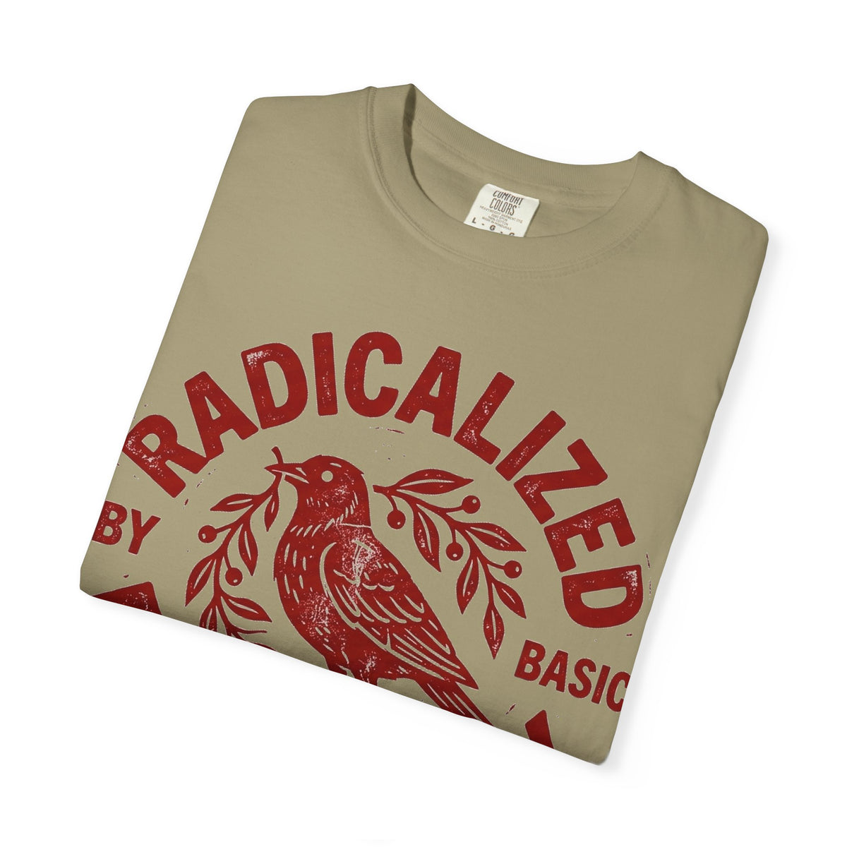 Radicalized By Basic Decency Red Bird Shirt, Folk Stamp Activist Tee, Kindness Protest Shirt, Ally Gift