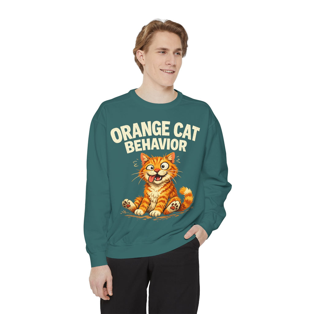 Orange Cat Behavior Sweatshirt — Cute Ginger Kitty Graphic Pullover