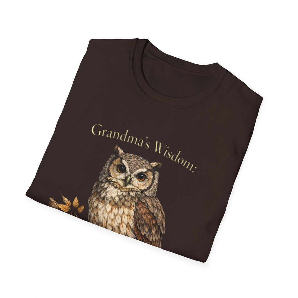 Grandma's Wisdom Priceless Shirt, Wise Owl Grandmother Tee, Nana Gift