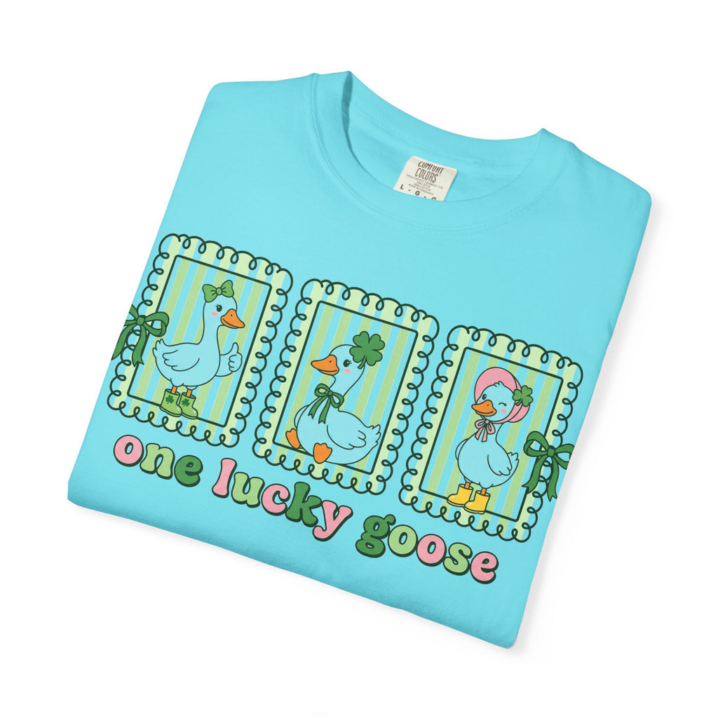 One Lucky Goose Framed Panels Shirt, Irish Goose Trio Tee, St Patricks Day Shirt, Funny Gift