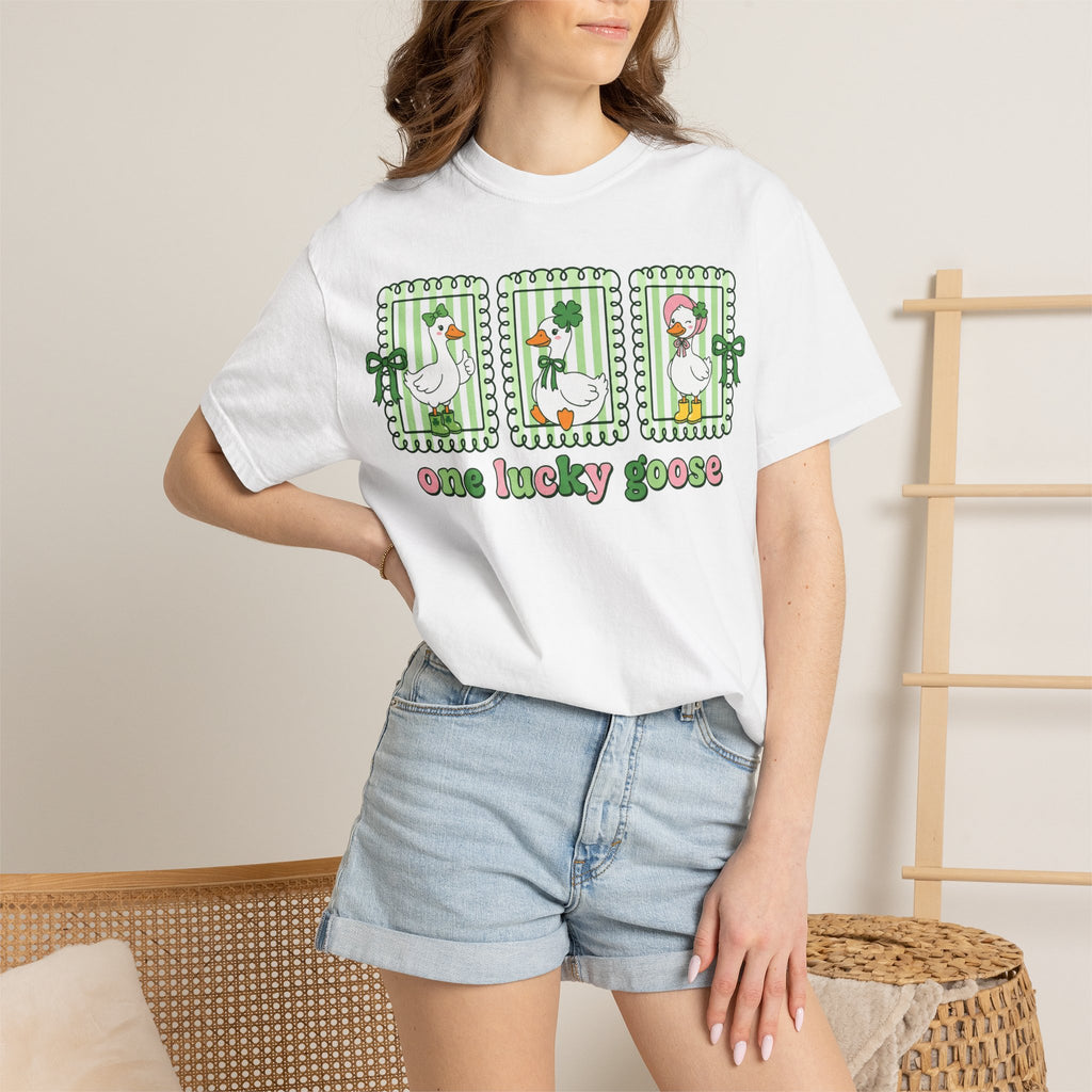 One Lucky Goose Framed Panels Shirt, Irish Goose Trio Tee, St Patricks Day Shirt, Funny Gift