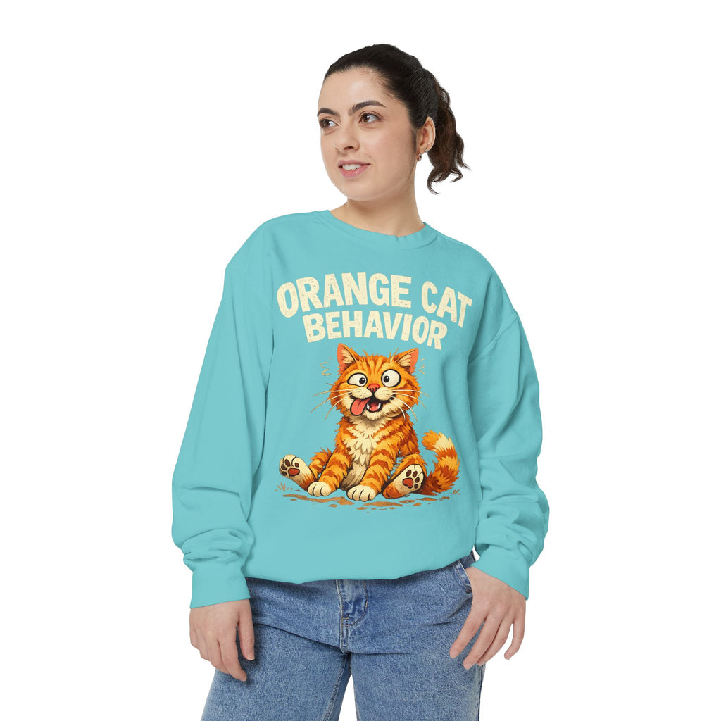 Orange Cat Behavior Sweatshirt — Cute Ginger Kitty Graphic Pullover